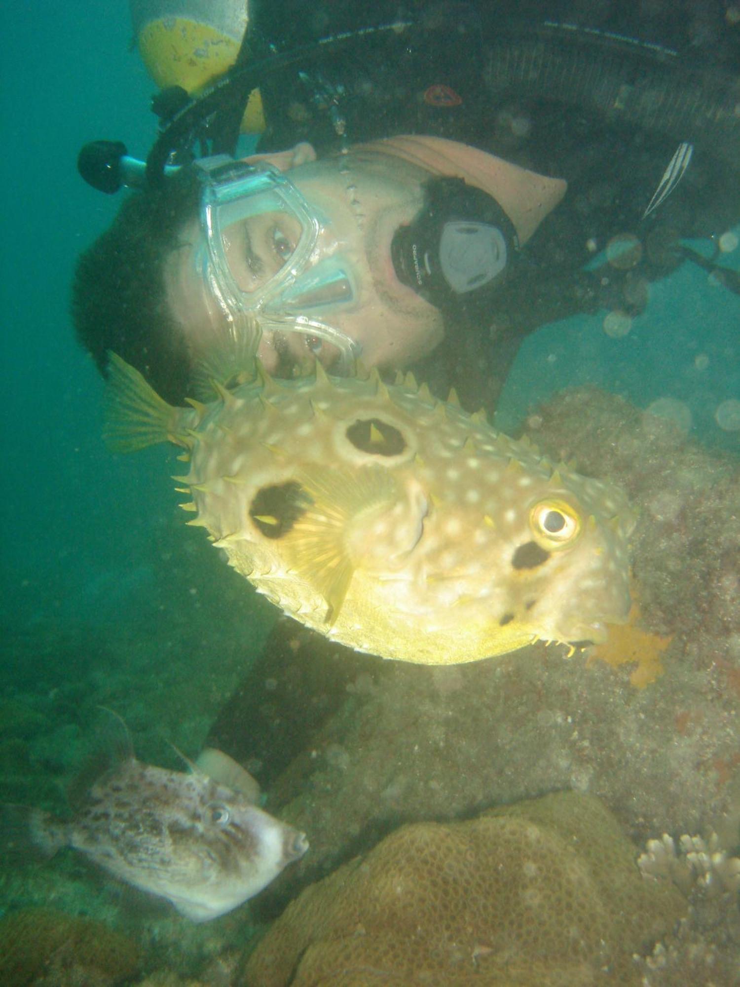 Estalagem Laguna